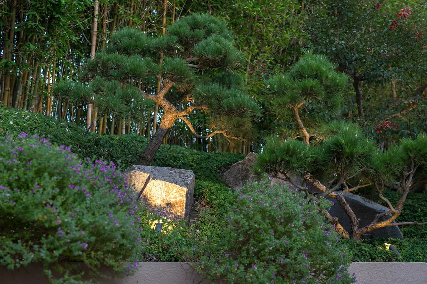 Cloud-pruned pines and lit boulder in a carefully kept garden bed
