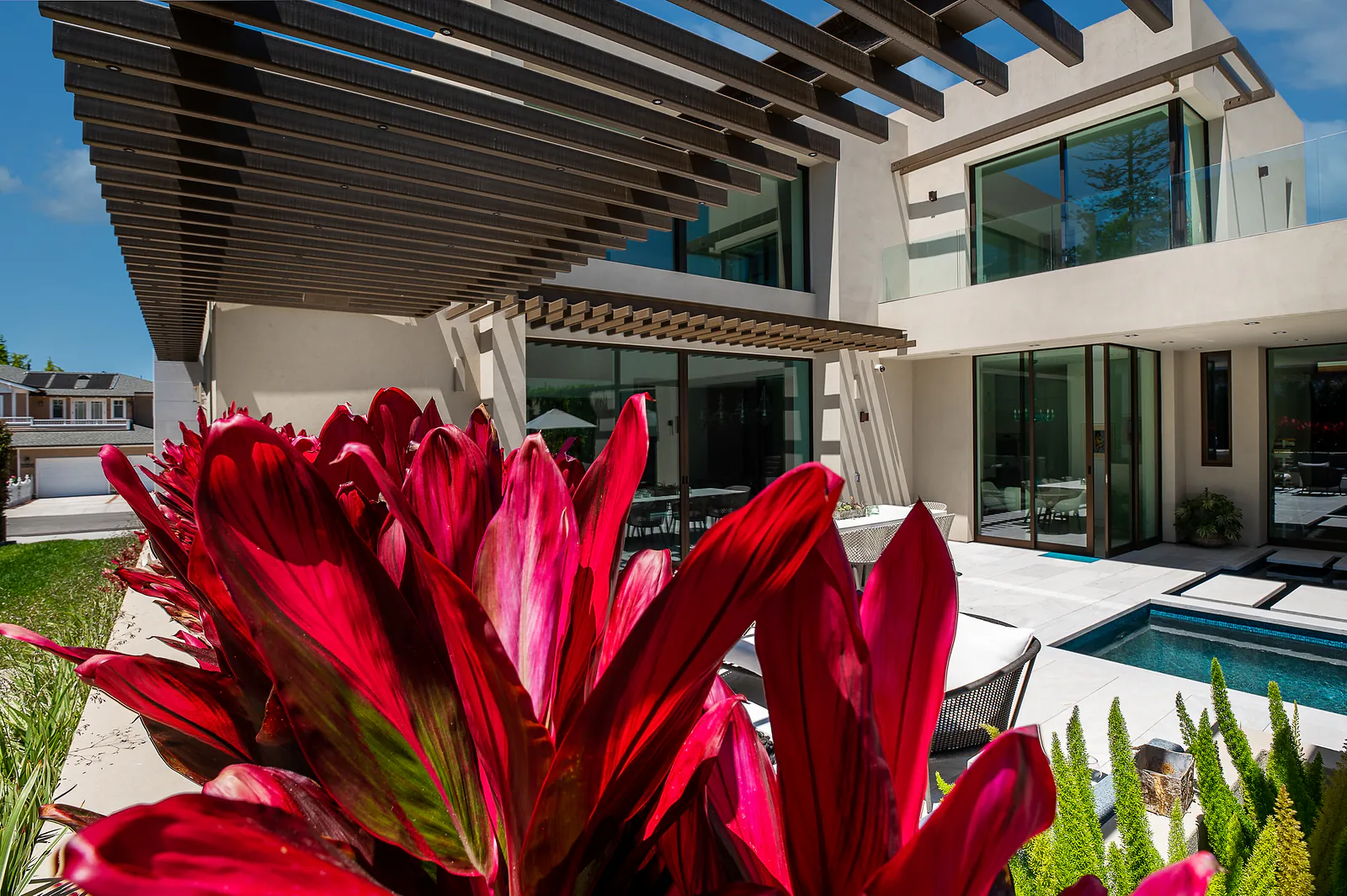 Red cordyline foliage in front of a modern poolside patio and pergola