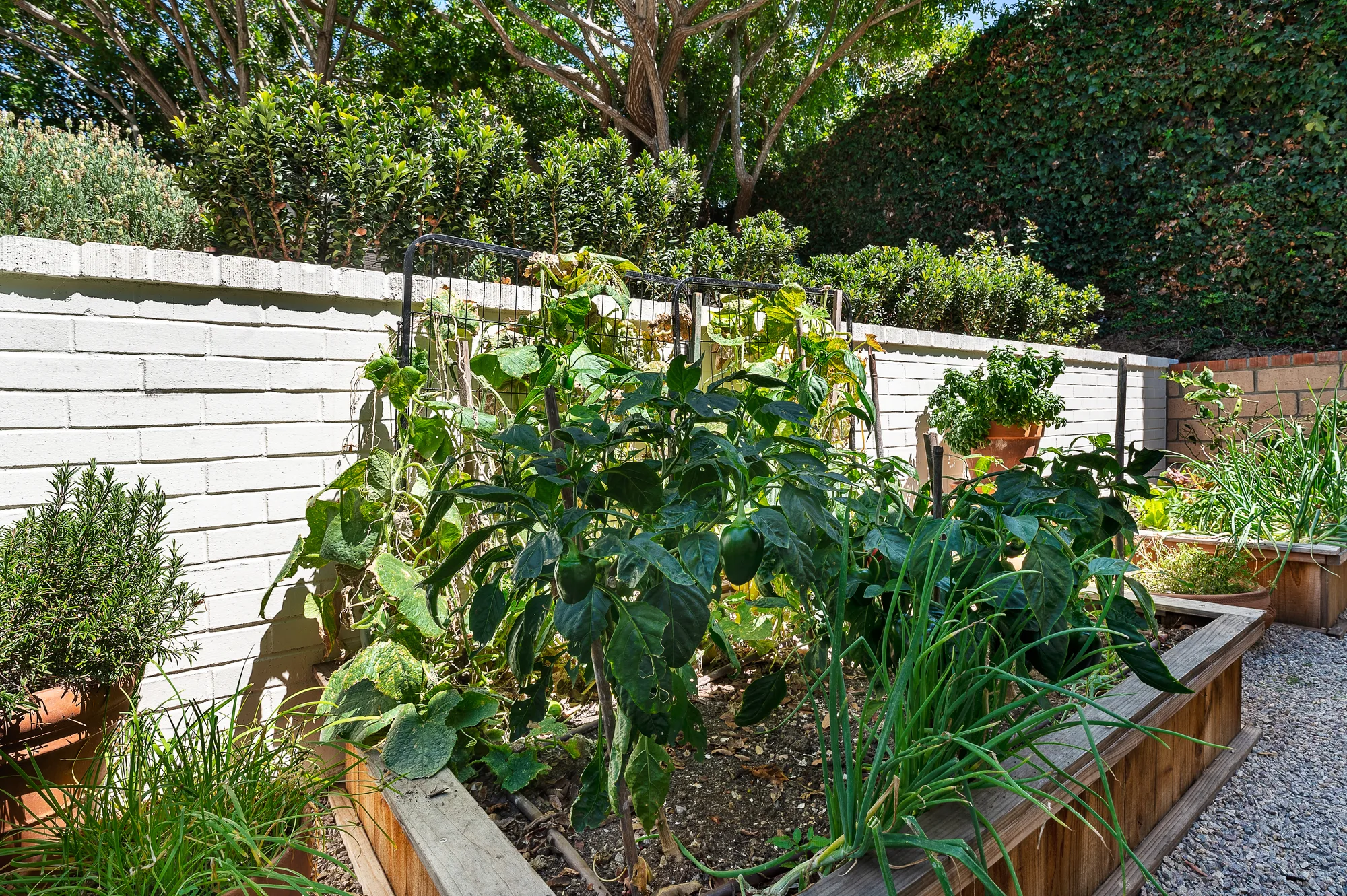 English Garden — Traditional English in La Jolla Scenic Drive, La Jolla, CA