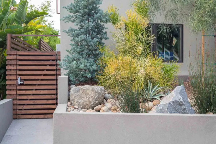 Modern entry with slatted wood gate and boulder-studded planter, Bird Rock