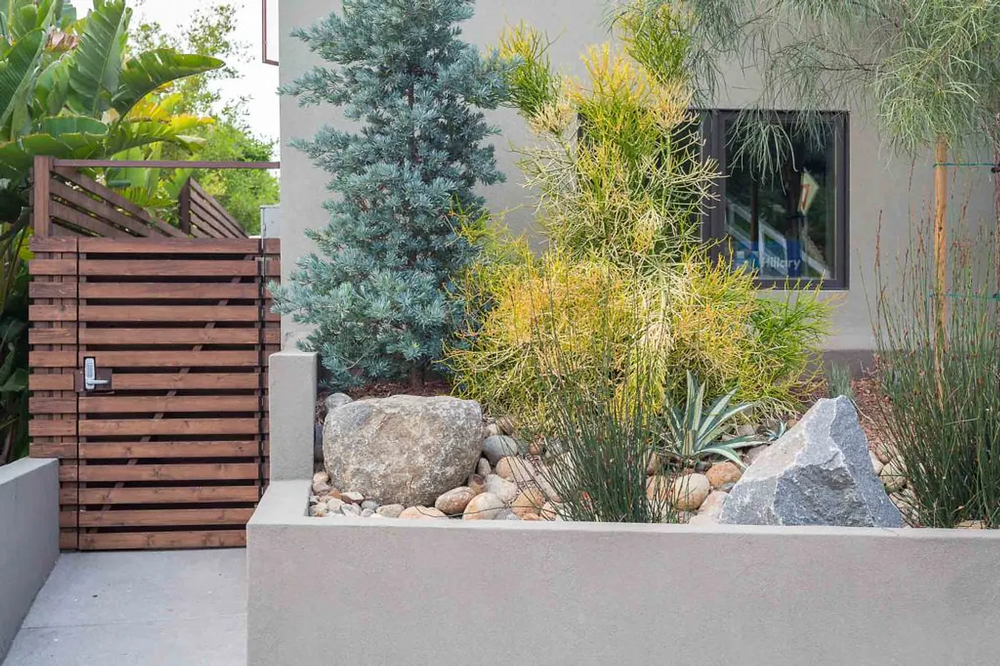 Modern entry with slatted wood gate and boulder-studded planter, Bird Rock