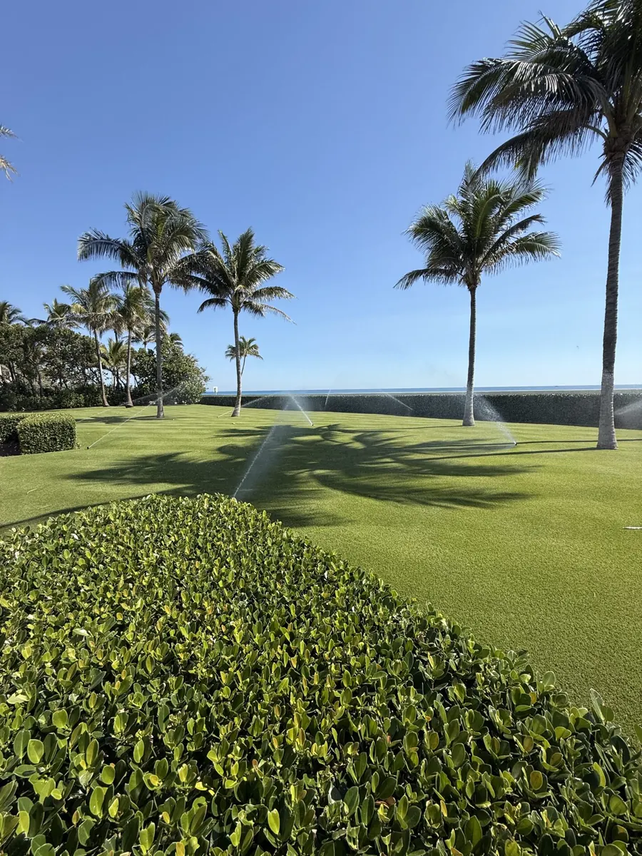 Irrigation heads watering a palm-lined oceanfront lawn