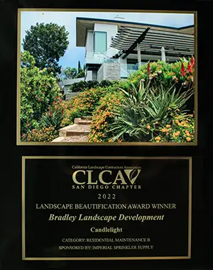 landscaping award